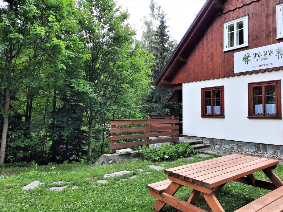 Apartman Mezi Stromy Rokytnice nad Jizerou Exterior photo