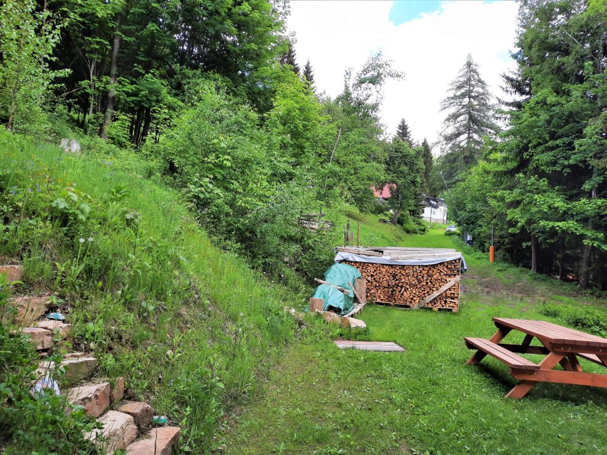 Apartman Mezi Stromy Rokytnice nad Jizerou Exterior photo